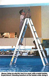 Random BAIC picture thread:-darwin-canadae.jpg