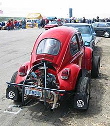 2003 Dream Machines Pictures!-thinbug2.jpg