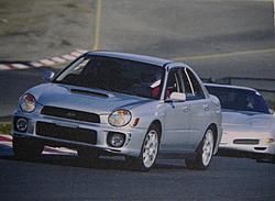 What's everyone in the Bay rolling on?-mouse..big.cat.jpg