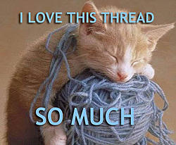 I can has cheezburger!!!!-thread-pic.jpg