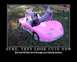 BAIC Motivational Threads!!!!!-cute.jpg