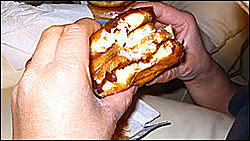 Donut shop-fish2.jpg