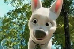 Post Your Pup-bolt.jpg