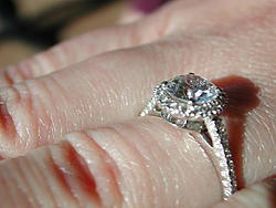 she said yes-dscn6816.jpg