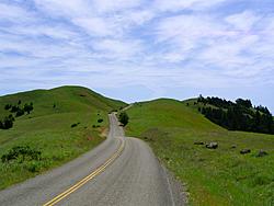 `'':;This year annual meet, where will it be? Mt Hammy or North Bay?;:"`-ridgecrest.jpg