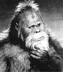 If you could bring one person from the past into modern times, who would you choose?-bigfoot.jpg