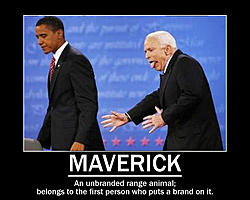 Mavericks anyone?-maverick.jpg