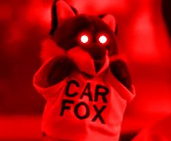 07 Tails really hurt value this much?-fox.bmp