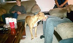 Post Your Pup-3.jpg