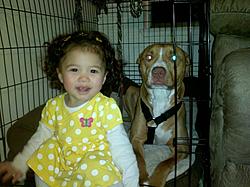 Post Your Pup-1.jpg