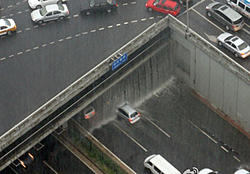 I have no clue.(All Things Japan Thread!)-20110623175745_0145.jpg