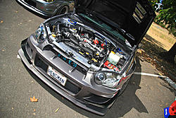 The Official BAM Photo Thread 2012-img_6615.jpg