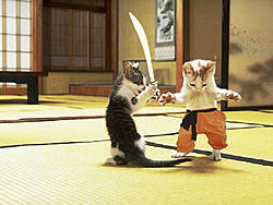 Brucelee in Next/previous life?-catfu2.jpg