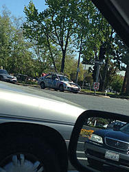 Spotted: Ricers!-image-1686936392.jpg
