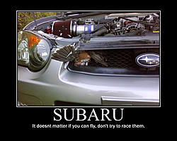 The Subaru meme thread-image-3867359714.jpg