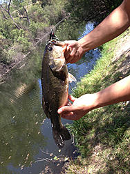 The yay area fishing thread-image-3990379137.jpg