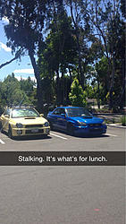 BAY AREA sighting post here.-image-606322307.jpg