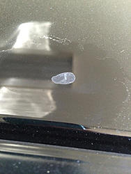 Anyone know what this is?-image-3885800486.jpg