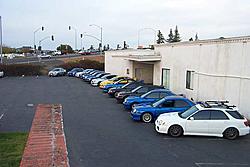 white wagon sighting this morning-group-4.jpg