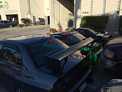 Big Wangs Spotted!-wang.jpg