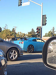 Big Wangs Spotted!-image-1112122289.jpg