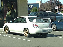 North Bay Sightings-image-3863527687.jpg