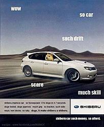 The Subaru meme thread-shibau.jpg