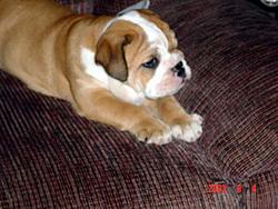 New family member!!!!!-first-day-kindergarden-012.jpg