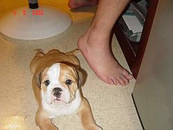 New family member!!!!!-copy-first-day-kindergarden-017.jpg