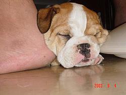 New family member!!!!!-first-day-kindergarden-020.jpg