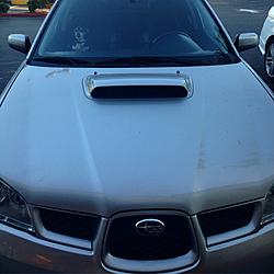 Noobaru in the Bay-image.jpeg