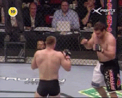 Name:  Some_more_Napaownage.gif
Views: 15
Size:  5.20 MB