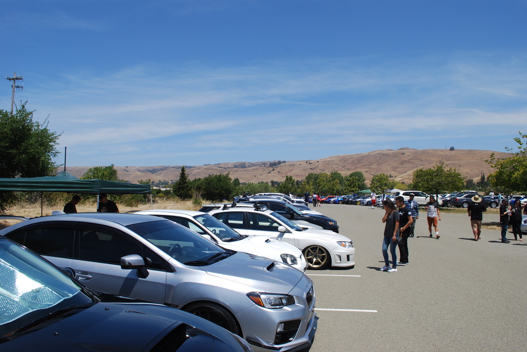 Name:  DSC_0193_zpsyl4ydfd0.jpg
Views: 42
Size:  249.8 KB