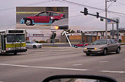 Why???-100_1060-copy.jpg