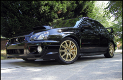 black or white?-black_front.png