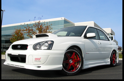 black or white?-white_front.png