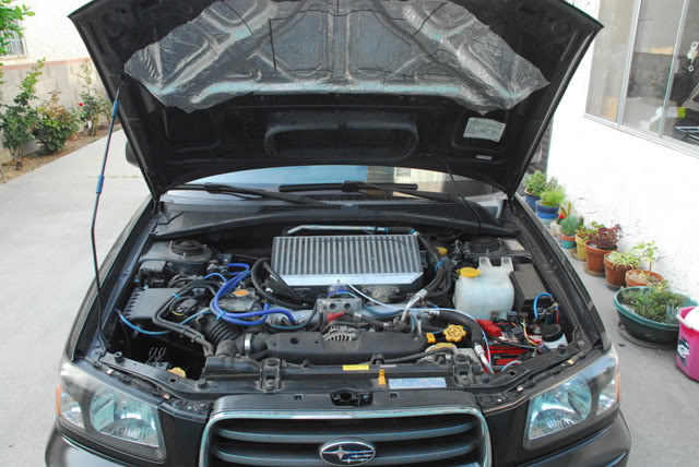 Name:  Engine.jpg
Views: 85
Size:  75.5 KB
