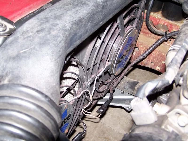 Name:  100_1833.jpg
Views: 30
Size:  97.3 KB