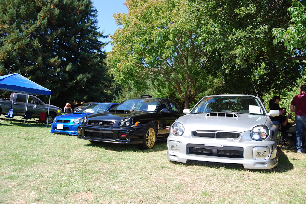 Name:  DSC_0025.jpg
Views: 16
Size:  274.3 KB