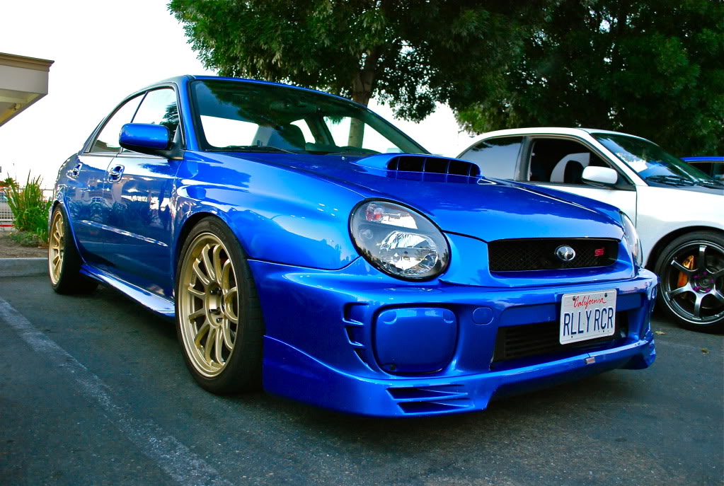 Name:  DSC_0126.jpg
Views: 17
Size:  196.0 KB