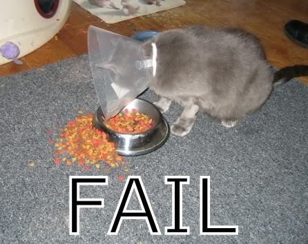 Name:  fail.jpg
Views: 16
Size:  50.1 KB