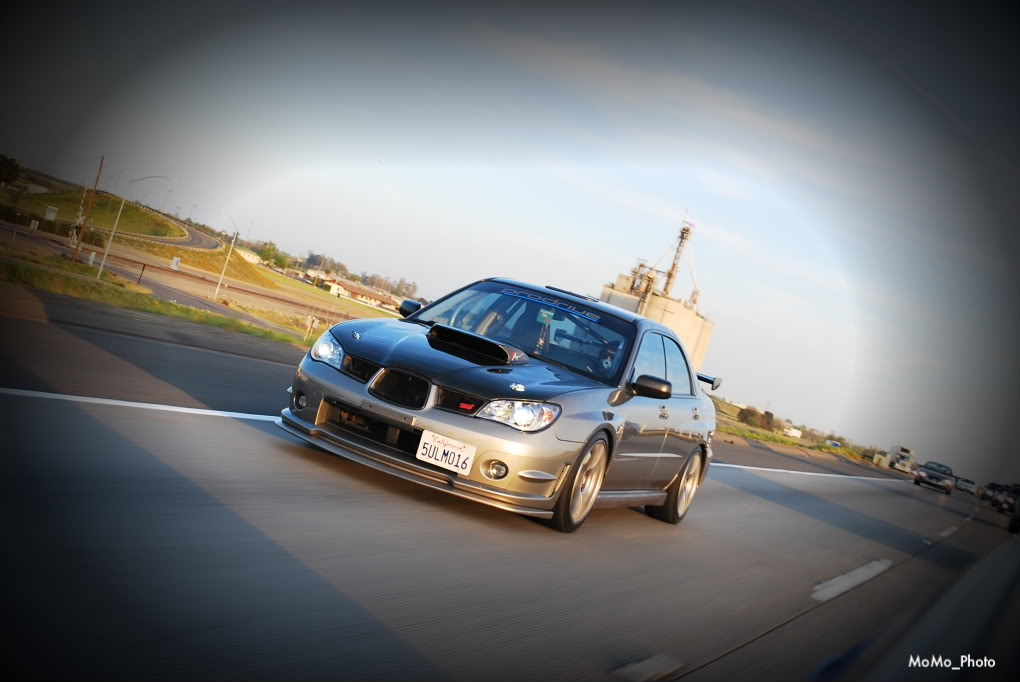 Name:  DSC_0074.jpg
Views: 13
Size:  76.4 KB