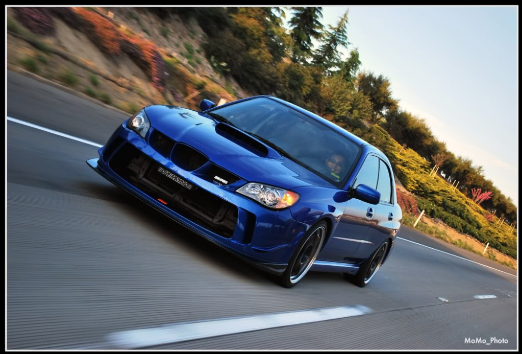 Name:  DSC_0065.jpg
Views: 14
Size:  120.5 KB