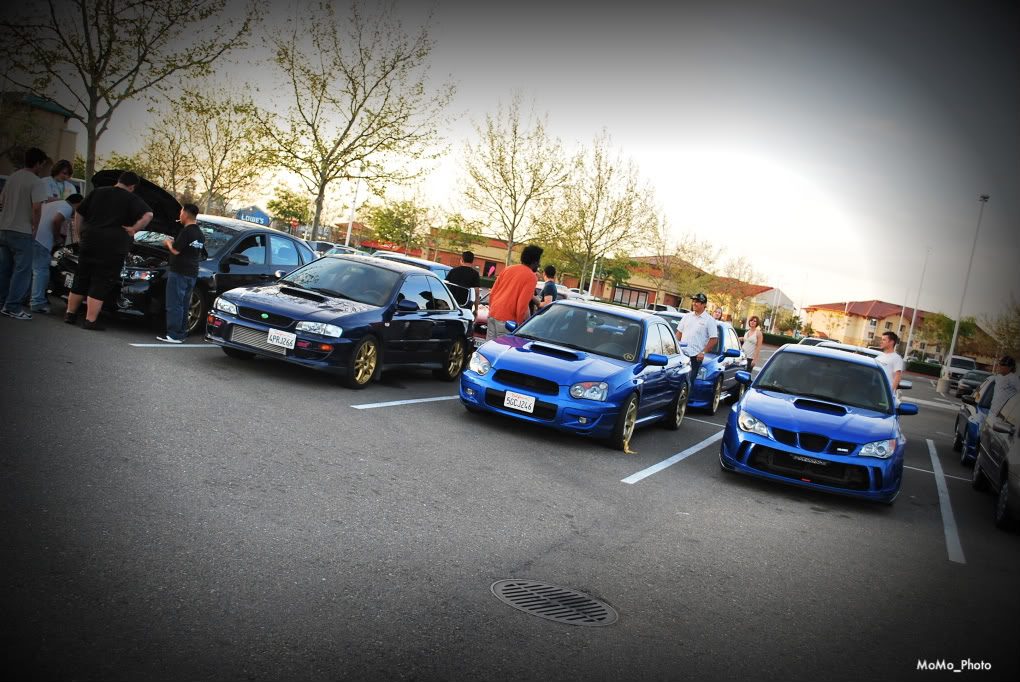 Name:  DSC_0085.jpg
Views: 14
Size:  176.3 KB