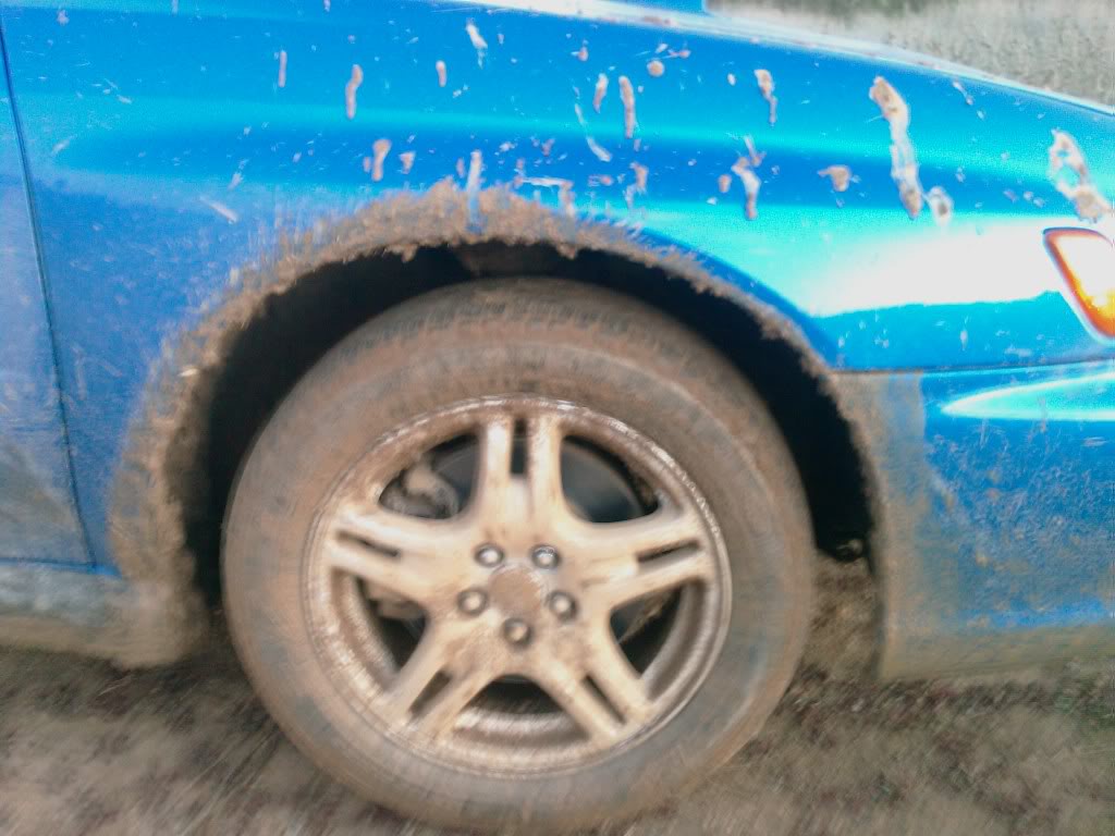 Name:  IMAG0179.jpg
Views: 19
Size:  96.1 KB