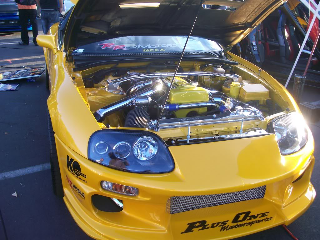 Name:  101_0012.jpg
Views: 15
Size:  144.0 KB