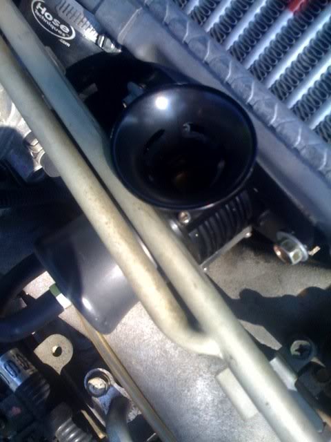 Name:  bov2.jpg
Views: 6
Size:  42.0 KB