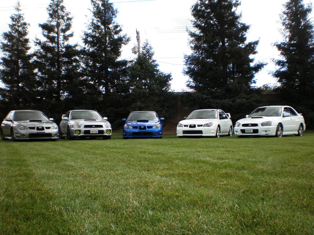 Name:  3-15meet012.jpg
Views: 16
Size:  155.5 KB