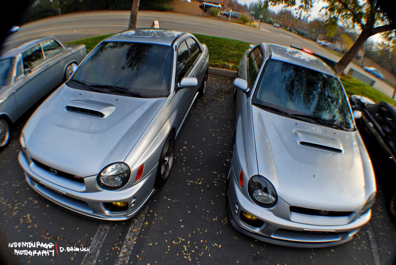 Name:  DSC_0056-4.jpg
Views: 9
Size:  104.2 KB