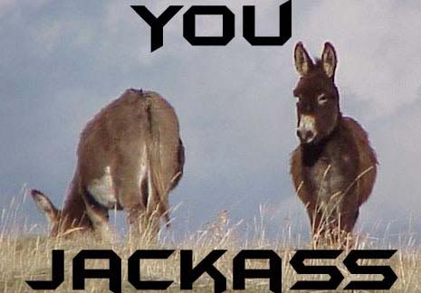 Name:  youjackass.jpg
Views: 8
Size:  24.6 KB